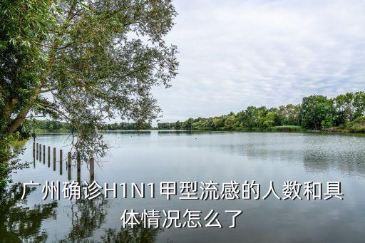 廣東廣州現在的*怎么樣，廣州確診H1N1甲型流感的人數和具體情況怎么了