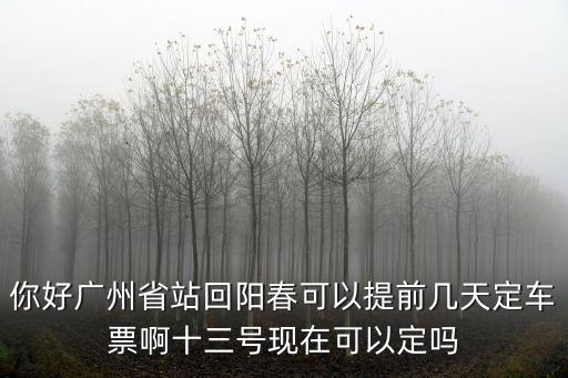 廣州*陽春，你好廣州省站回陽春可以提前幾天定車票啊十三號現在可以定嗎