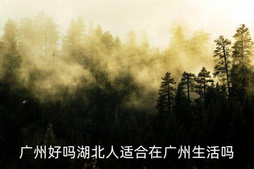 *過后湖北人在廣州有多難，有湖北人在廣州嗎