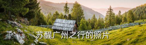 廣州*人員關系圖，辦理人才引進后人事關系在廣州但是最近家鄉有招考公務員本人