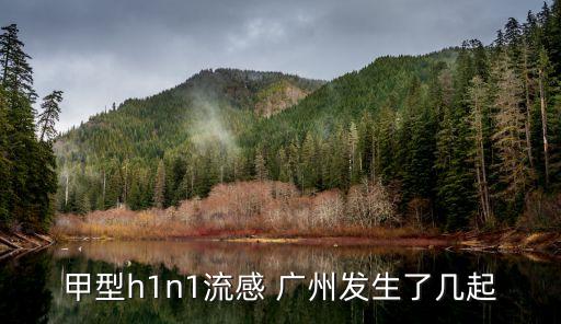 廣州*6月1日最新消息，甲型h1n1流感 廣州發(fā)生了幾起