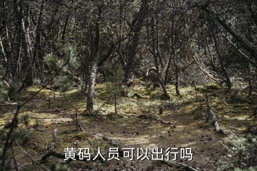 廣州市**防控領(lǐng)導(dǎo)小組，黃碼人員可以出行嗎