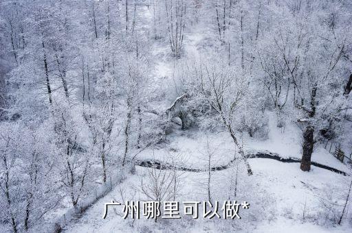 廣州還能做*檢測嘛，請問在廣州那里可以驗核糖*的