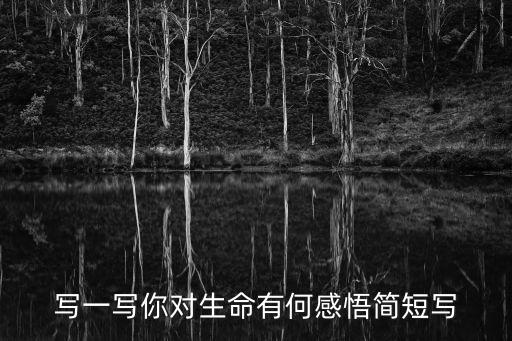 生命的感悟，對生命的感悟有哪些