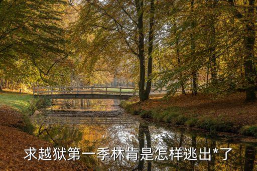 林肯隧道，世界著名海底隧道林肯1號隧道在哪個國家的哪年建成長多少千