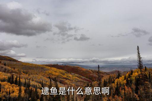 逮魚是什么意思啊