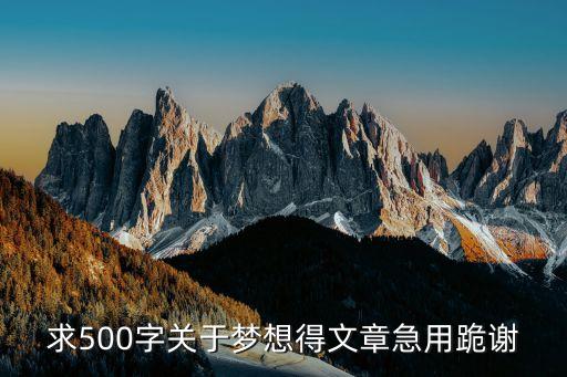 夢想作文500字，求我有一個夢想作文