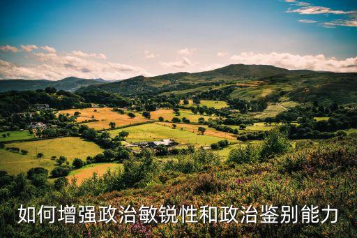 政治敏銳性，教師如何增強政治敏銳性和政治鑒別力