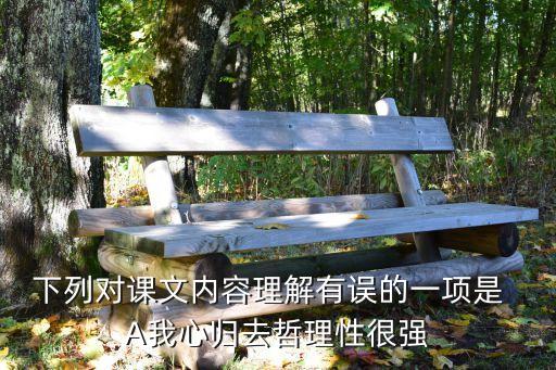 我心歸去，我心歸去 難耐的冷清是什么意思
