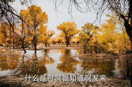 buyu，*的拼音是buyu還是puyu