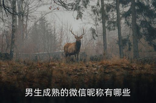 30歲男人成熟昵稱，三十歲男人傷感成熟微名