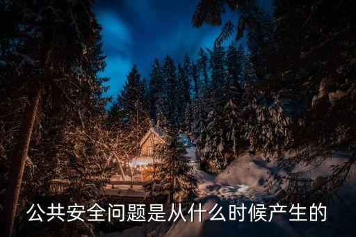 公共安全問題是從什么時候產生的