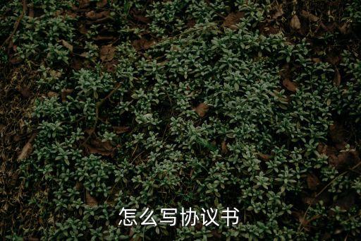 協(xié)議書怎么寫范文，協(xié)議書模板