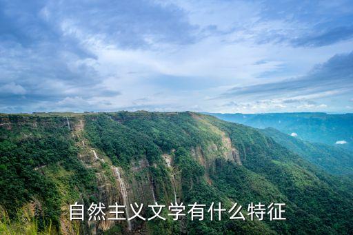 自然主義文學，日本自然主義文學的代表作家是誰