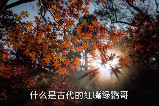 什么是古代的紅嘴綠鸚哥