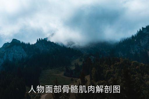 面部結構圖，人物面部骨骼肌肉解剖圖