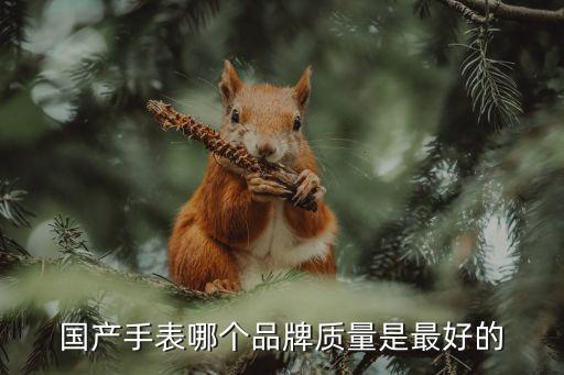 國產手表十大品牌，國產的腕表都有哪些品牌