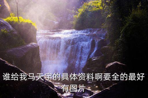 馬天宇資料,鞏俐生日馬天宇微博慶生?