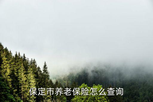 保定社保中心電話,保定養(yǎng)老保險怎么辦?