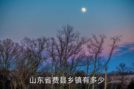 山東省費縣鄉鎮有多少