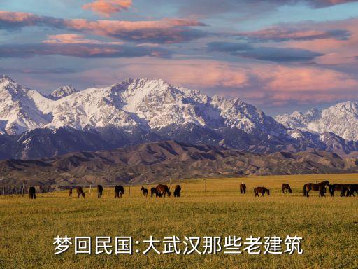 夢回民國:大武漢那些老建筑