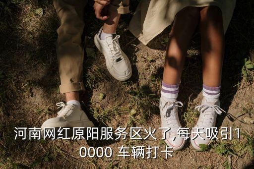 河南網紅原陽服務區火了,每天吸引10000 車輛打卡