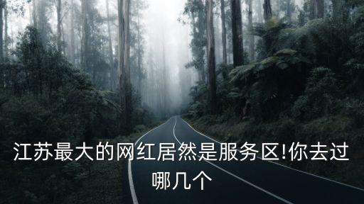 江蘇最大的網紅居然是服務區!你去過哪幾個