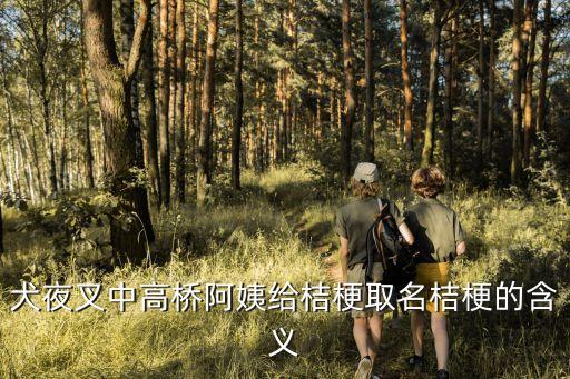 桔梗是什么，桔梗用三個字的詞語怎么表示