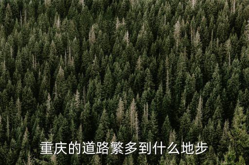 重慶的路,重慶路況太復雜導航都難認清