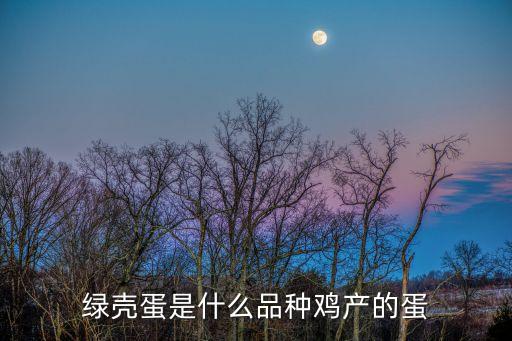 什么雞下綠殼蛋，綠殼蛋是什么品種雞產(chǎn)的蛋