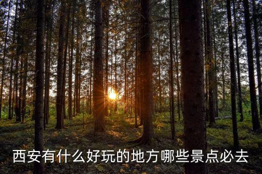 西安有什么好玩的地方哪些景點(diǎn)必去