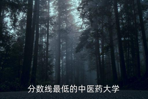 湖南中醫(yī)藥大學(xué)分?jǐn)?shù)線,湖南中醫(yī)藥大學(xué)臨床醫(yī)學(xué)分?jǐn)?shù)線暫時領(lǐng)先