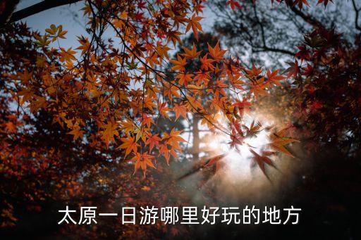 山西一日游,山西大同一日游攻略:怎么逛完綿山?