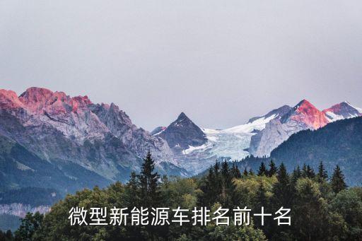新能源小汽車,什么是小型新能源汽車?
