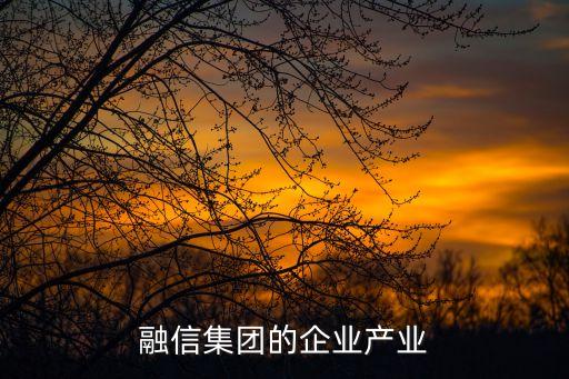 融信集團的企業產業