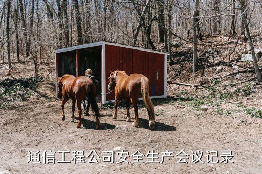 安全生產(chǎn)會(huì)議記錄，通信工程公司安全生產(chǎn)會(huì)議記錄