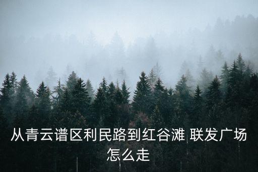 從青云譜區(qū)利民路到紅谷灘 聯(lián)發(fā)廣場怎么走