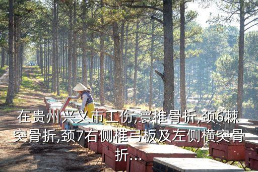 興義市人社局,貴州興義工傷勞動局電話號碼多少?