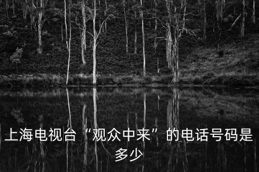 東方網上海頻道,網絡媒體:騰訊大申網、新浪汽車、網易上海等