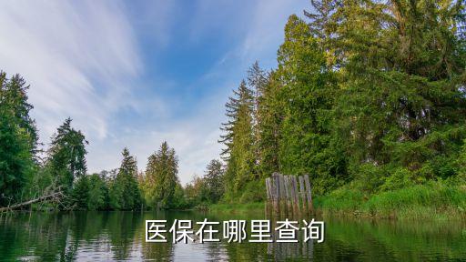 醫保怎么查詢,醫療保險怎么查詢?