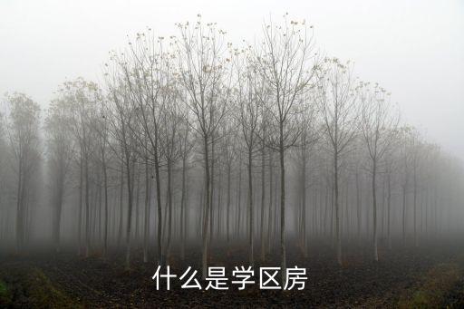 學(xué)區(qū)房劃分,學(xué)區(qū)劃分有變化?海口學(xué)區(qū)房如何劃分?