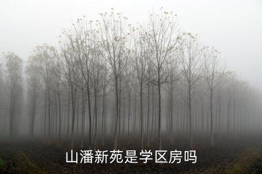 南京市旭東中學,南京旭東中學在鼓樓算好嗎?算好