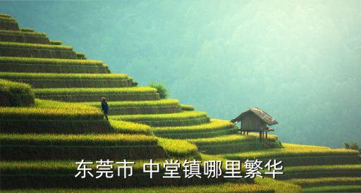 東莞市 中堂鎮哪里繁華