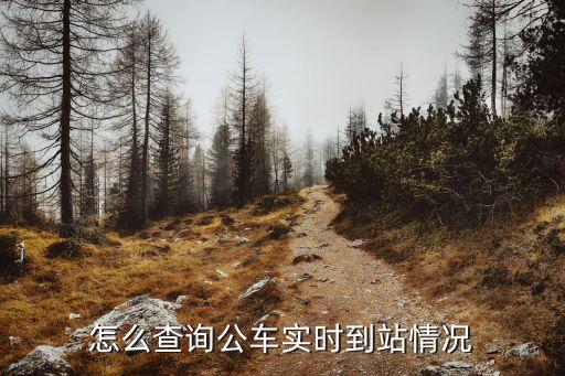公交車在線查詢,公交車怎么查?
