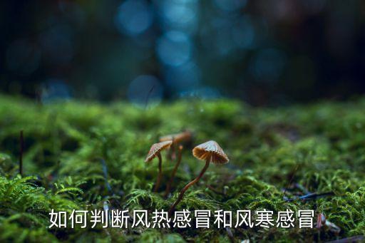 如何判斷風熱感冒和風寒感冒