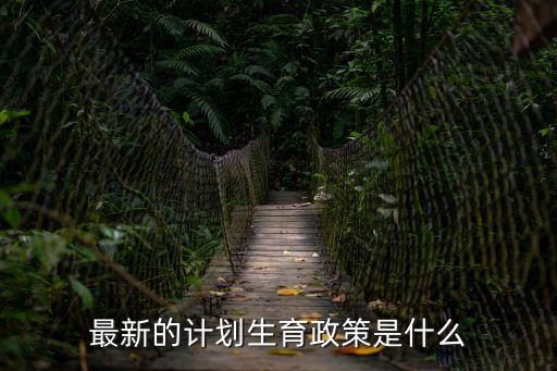 計生政策，計劃生育新政策