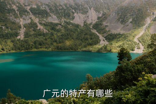 廣元的特產有哪些