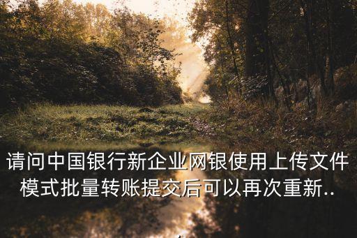 請問中國銀行新企業網銀使用上傳文件模式批量轉賬提交后可以再次重新...