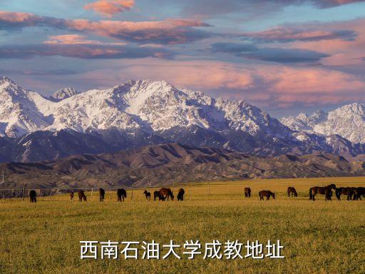 西南石油大學(xué)成教地址