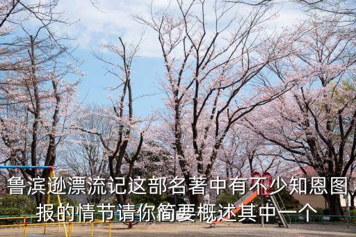 魯濱遜漂流記這部名著中有不少知恩圖報的情節請你簡要概述其中一個